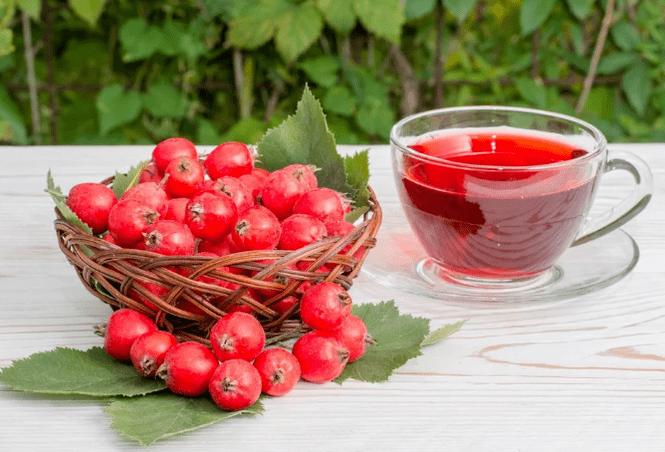 Hawthorn'un kaynatılması